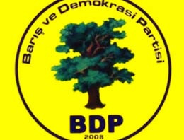 BDP'li başkanın evinden çıkana bakın!